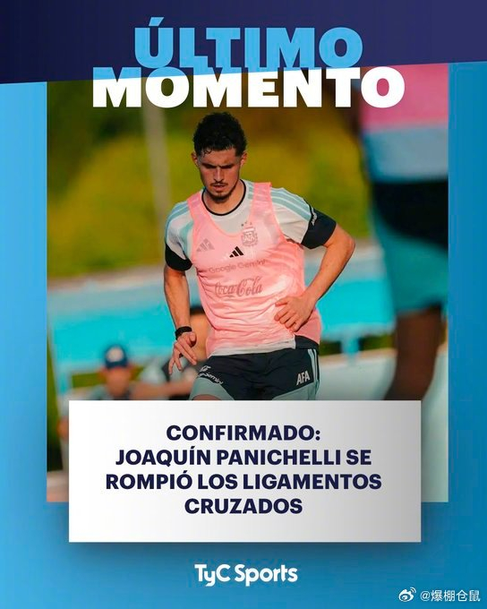 帕尼切利右膝十字韧带撕裂无缘世界杯 本赛季